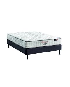 Backcare Pocketed Divan Bed - Single (3')